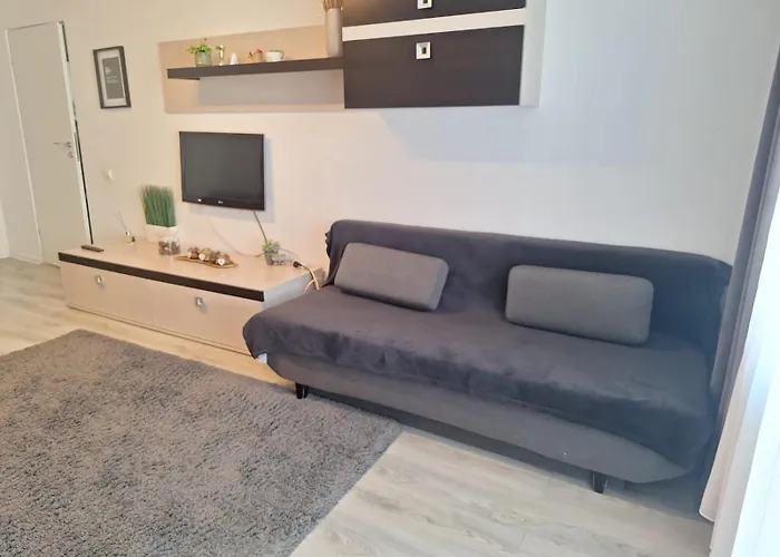 Relax Si Confort 2 Militari Cu Parcare Inclusa Apartman